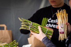 32. Slavnosti chřestu a vína v Ivančicích