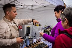 32. Slavnosti chřestu a vína v Ivančicích