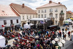 32. Slavnosti chřestu a vína v Ivančicích