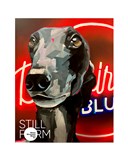 STILLFORM - Výstava PEDRO LÍNDEZ  „Ticho obyčejných věcí“