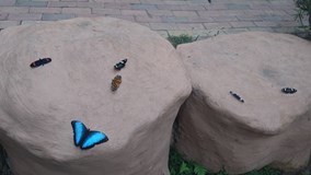 Ekvádor - země tří světů