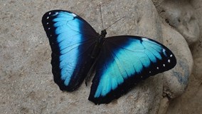 Ekvádor - země tří světů