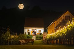 Noční sklepy: Při měsíčku na skleničku 2026