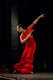 Virginia Delgado (ESP): Concierto flamenco