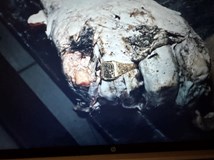 Budějovická mordparta 2