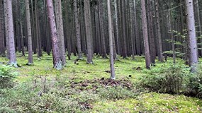 4. letní cestovatelský festival Caminos