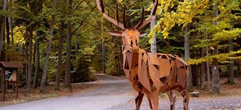 4. letní cestovatelský festival Caminos