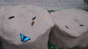 Ecuador – The Land of Three Worlds