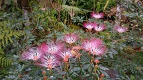 Ecuador – The Land of Three Worlds