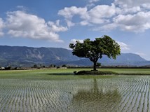 Taiwan pomalu a flexibilně