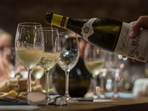  Festivalová stodola: Degustace festivalové kolekce vín