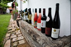 Festivalová stodola: Degustace festivalové kolekce vín