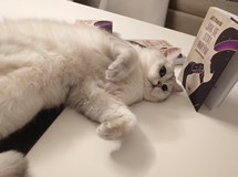 Jiří Charvát - Jak se stát nikým