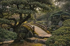 S pivem kolem světa pod hvězdami - Japonsko - Čupek