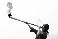 DJEMBE MARATHON 2026