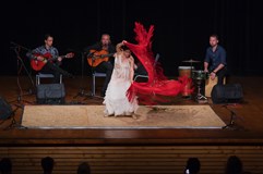 Arte Flamenco