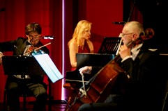 Hity filmového plátna 