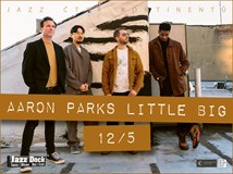 Aaron Parks Little Big (USA)