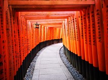 Naše Cesty za štěstím - Turecko, Kostarika, Japonsko