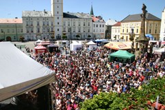 Městský klub Litovel