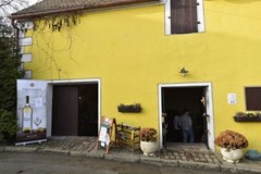 Noční otevřené sklepy v Pavlov