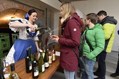 Noční otevřené sklepy v Pavlov