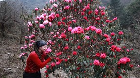 NEPÁL NEZMĚNÍŠ, NEPÁL ZMĚNÍ TEBE - cestovatelská beseda“