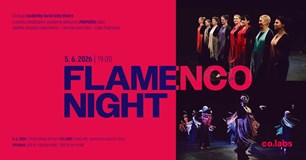 FLAMENCO NIGHT