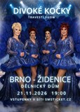 Travesti show Divoké kočky v Brně-Židenicích