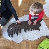Děti žerou dinosaury - přednáška s paleontologem