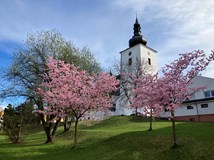 Dialog staletí a kultur: křižovatky kultur