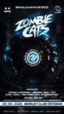 ZOMBIE CATS