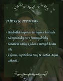 Ren Faire: Slavnost tisíce příběhů