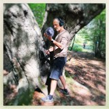ArtCafé: Graham Fitkin – Treeline