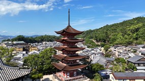 Japonsko⛩️- země úcty, respektu a štědrosti