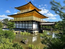 Japonsko⛩️- země úcty, respektu a štědrosti