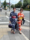 Japonsko⛩️- země úcty, respektu a štědrosti