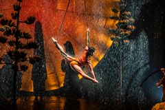 Cirque du Soleil - LUZIA