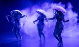 Burleskova Night 2026