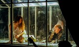 GEISSLERS HHOFCOMOEDIANTEN - Krása střídá nádheru