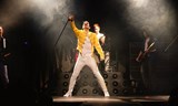 Freddie - concert show