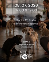 STILLFORM - JÓGA SE ŠTĚŇÁTKY | ART IN MOTION