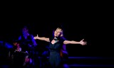 Piaf!  The Show (FR)