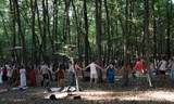 ECSTATIC FOREST | JOBBI TAO