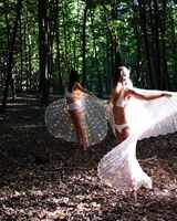 ECSTATIC FOREST | JOBBI TAO