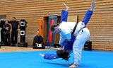 Budo Matsuri 2026