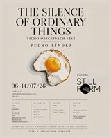 STILLFORM presents - SILVI FLOWS Dance & DJ Set