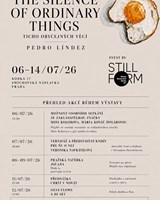 Stillform presents - Silvi Flows Dance & DJ Set