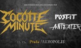 COCOTTE MINUTE 
