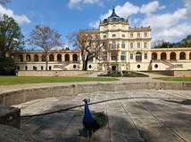 Zámek Ploskovice, Ploskovice